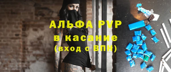 стафф Аркадак