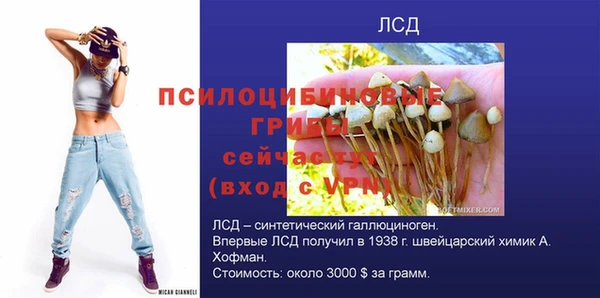 стафф Аркадак