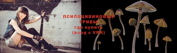 герыч Арсеньев
