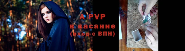 прущие крисы Армянск