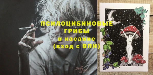 стафф Аркадак