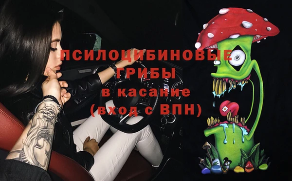 герыч Арсеньев