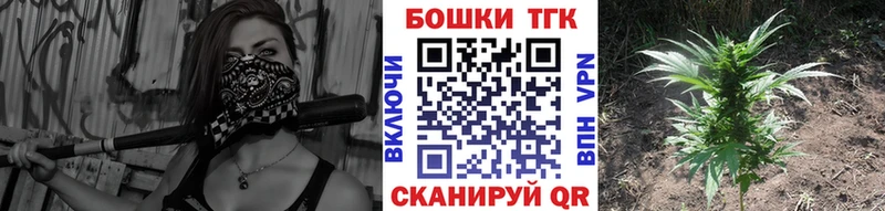 Марихуана планчик  Купить  Нижнеудинск 